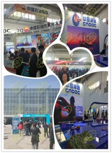 Haihao Group attended in CIPPE