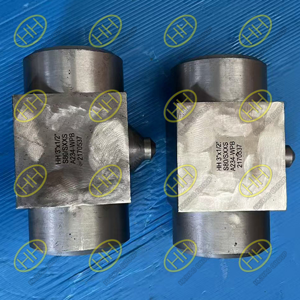Haihao Group Supplies Custom Forged Tee Fittings to Indonesia