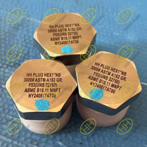 Haihao Group ASME B16.11 hex plugs ASTM A182 F53 UNS S32750