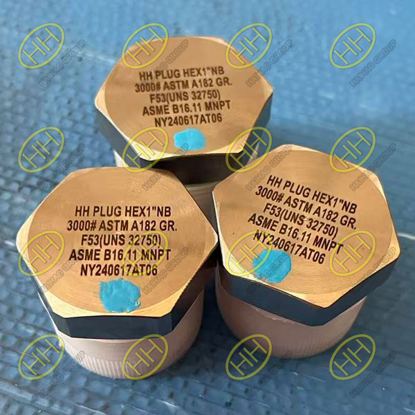 Haihao Group ASME B16.11 hex plugs ASTM A182 F53 UNS S32750