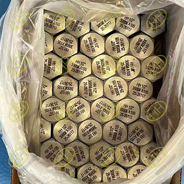 Hexagonal pipe plugs A105 3000# ready for shipment